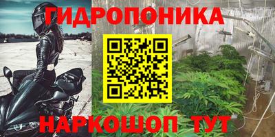 2c-b Будённовск