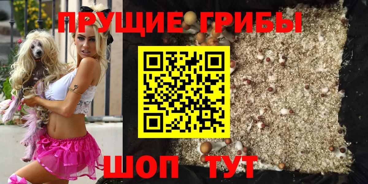 Галлюциногенные грибы GOLDEN TEACHER Пятигорск